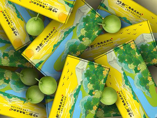 农场香瓜包装