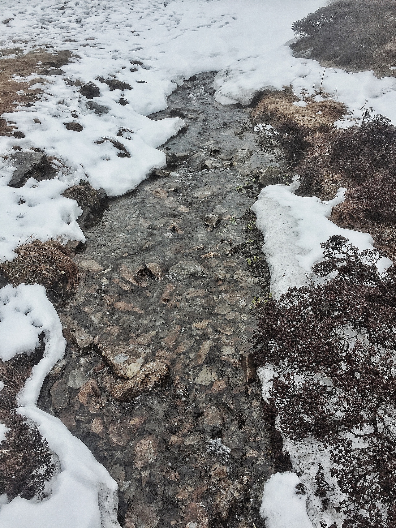 蒼山雪（圖ZNzg1NDk1Njg=） - 風(fēng)光攝影 - 站酷設(shè)計(jì)師chenzehui原創(chuàng)素材 - 站酷ZCOOL