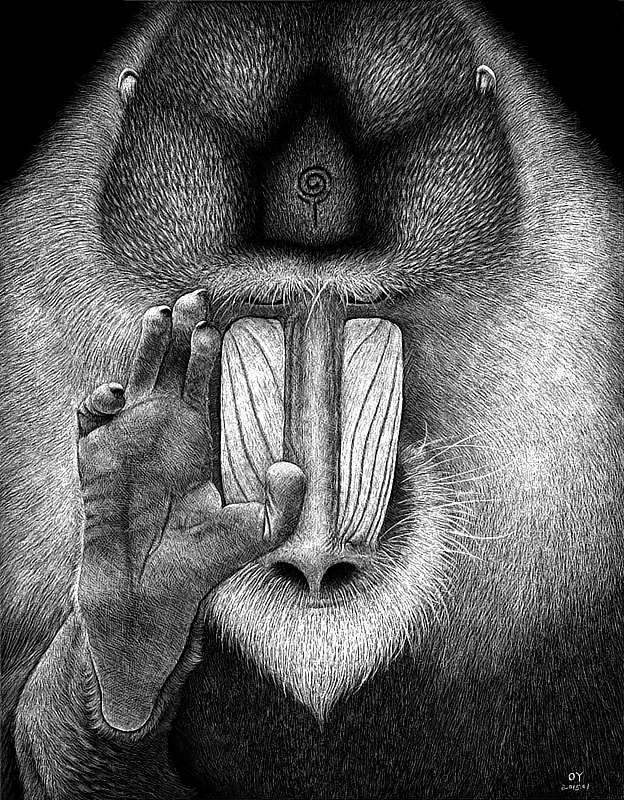 OY手绘·2015个人作品集（图ZNDAzODcyMTY=） - 绘画 - 站酷设计师欧阳鹏杰_OY原创素材 - 站酷ZCOOL