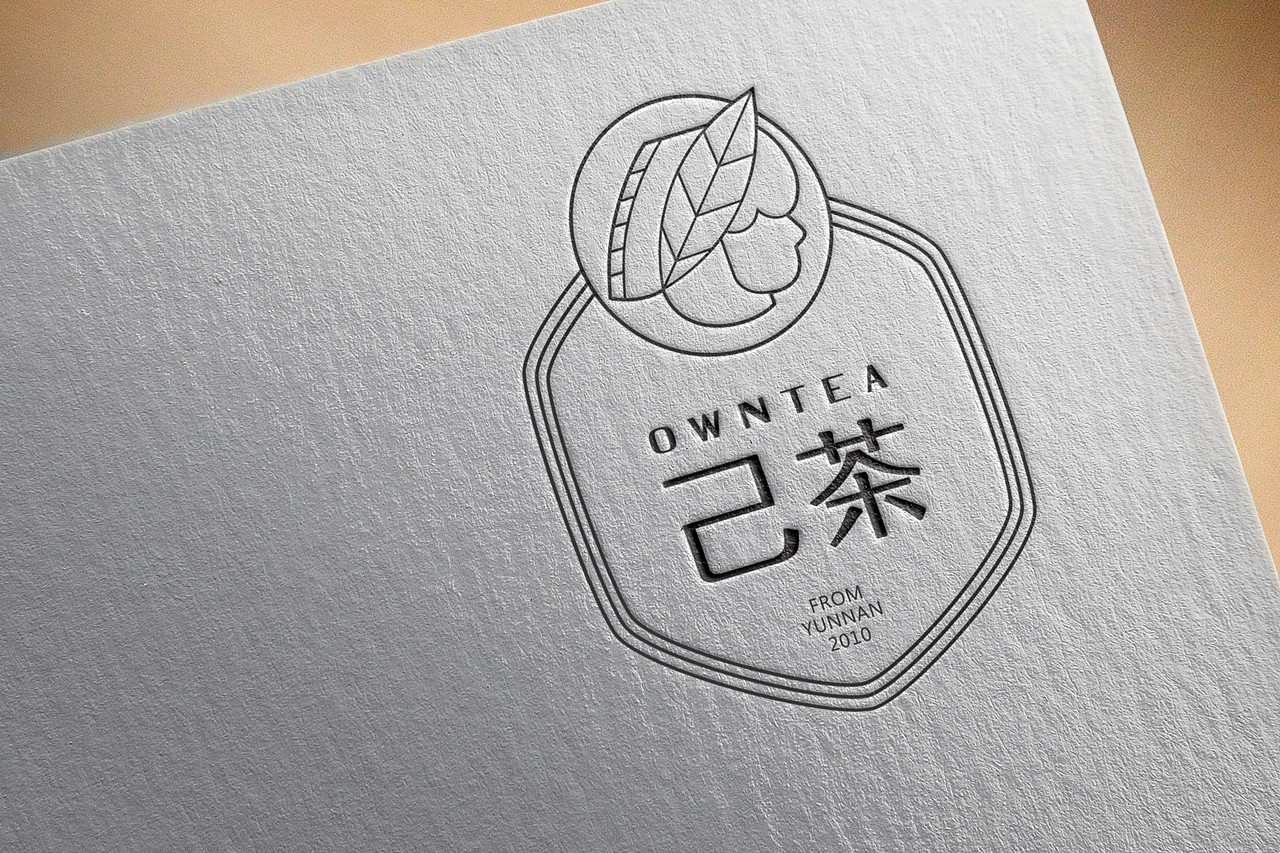 蜥奎设计∴己茶（图ZNDc3MTM4OTY=） - 品牌 - 站酷设计师蜥奎设计原创素材 - 站酷ZCOOL