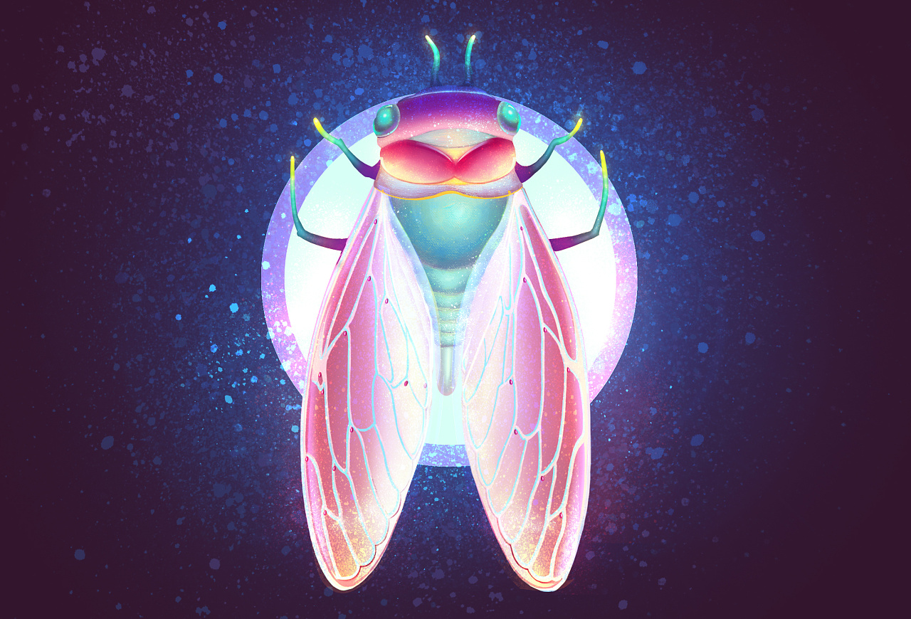 蝉- 原创作品 - 站酷(zcool)