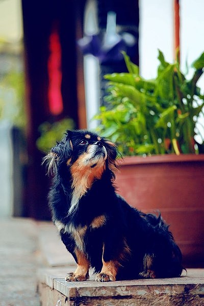 这一世,转山转水转佛塔,不为修来世,只为途中与你相见 —— 丽江束河