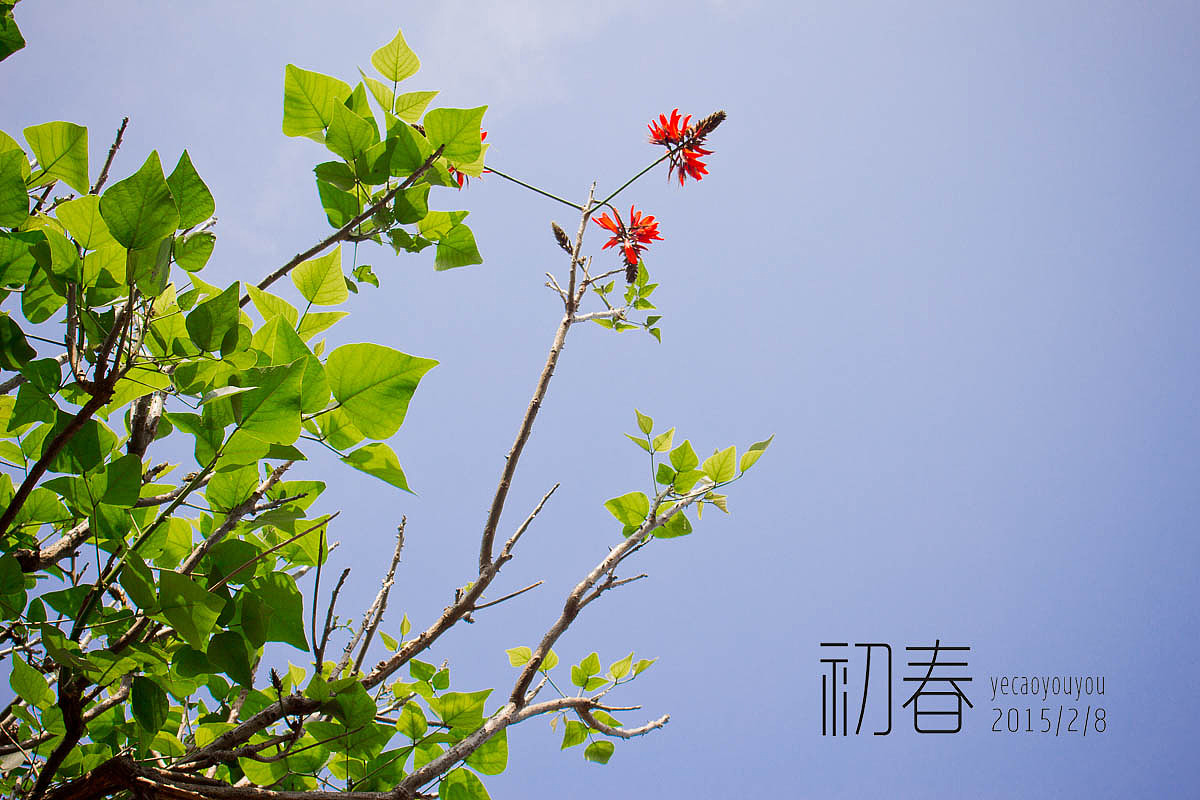初春，枯荣交替（图ZMjQ2MjM3MzI=） - 风光摄影 - 站酷设计师ccy崔原创素材 - 站酷ZCOOL