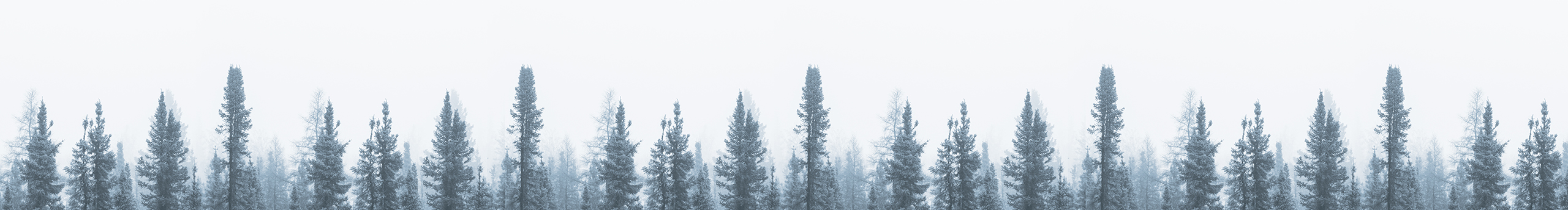 Garneau的个人主页（封面预览） - 主页封面设置 - 站酷设计师Garneau原创素材 - 站酷ZCOOL