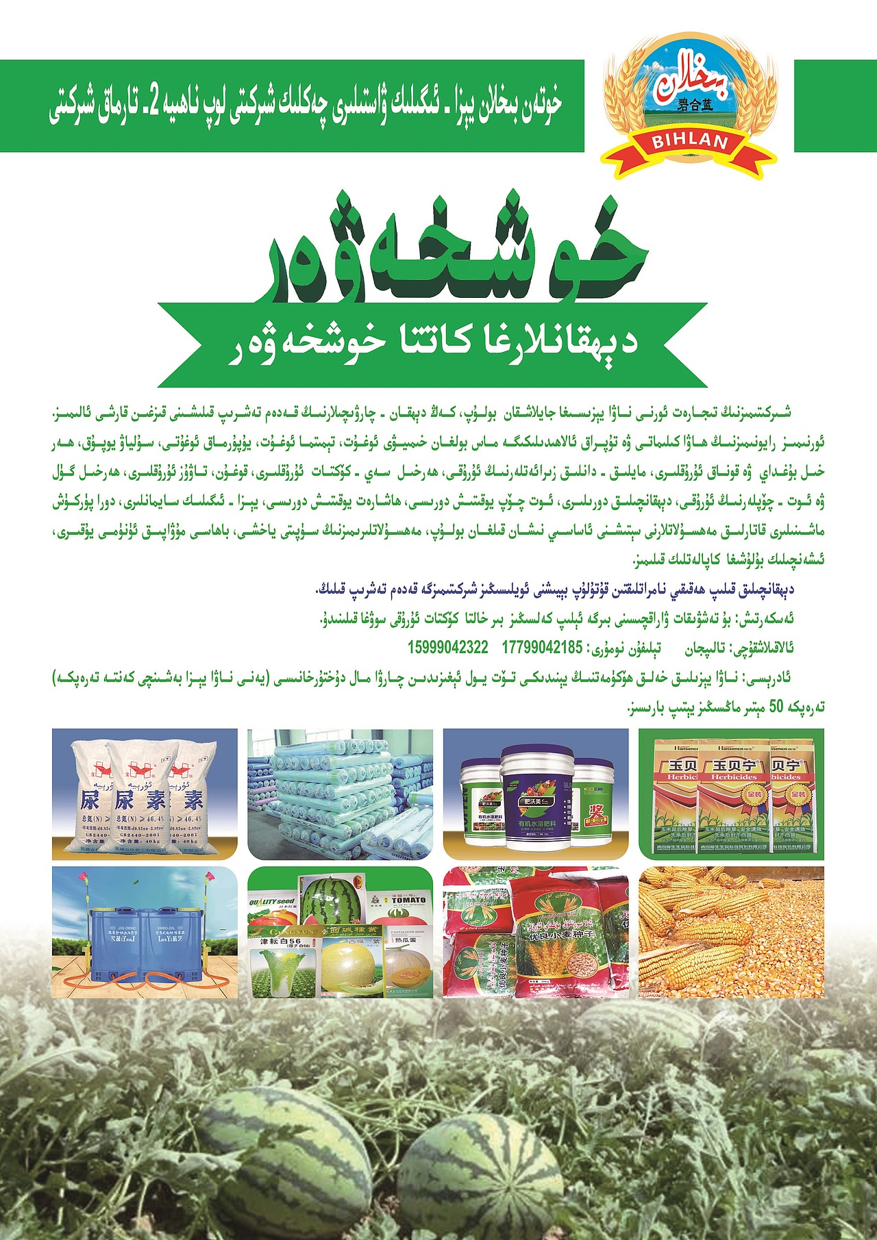 绿色设计（图ZMjA1MzY1MzYw） - 宣传物料 - 站酷设计师Chushyar123原创素材 - 站酷ZCOOL