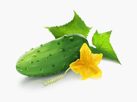 绘画基础练习