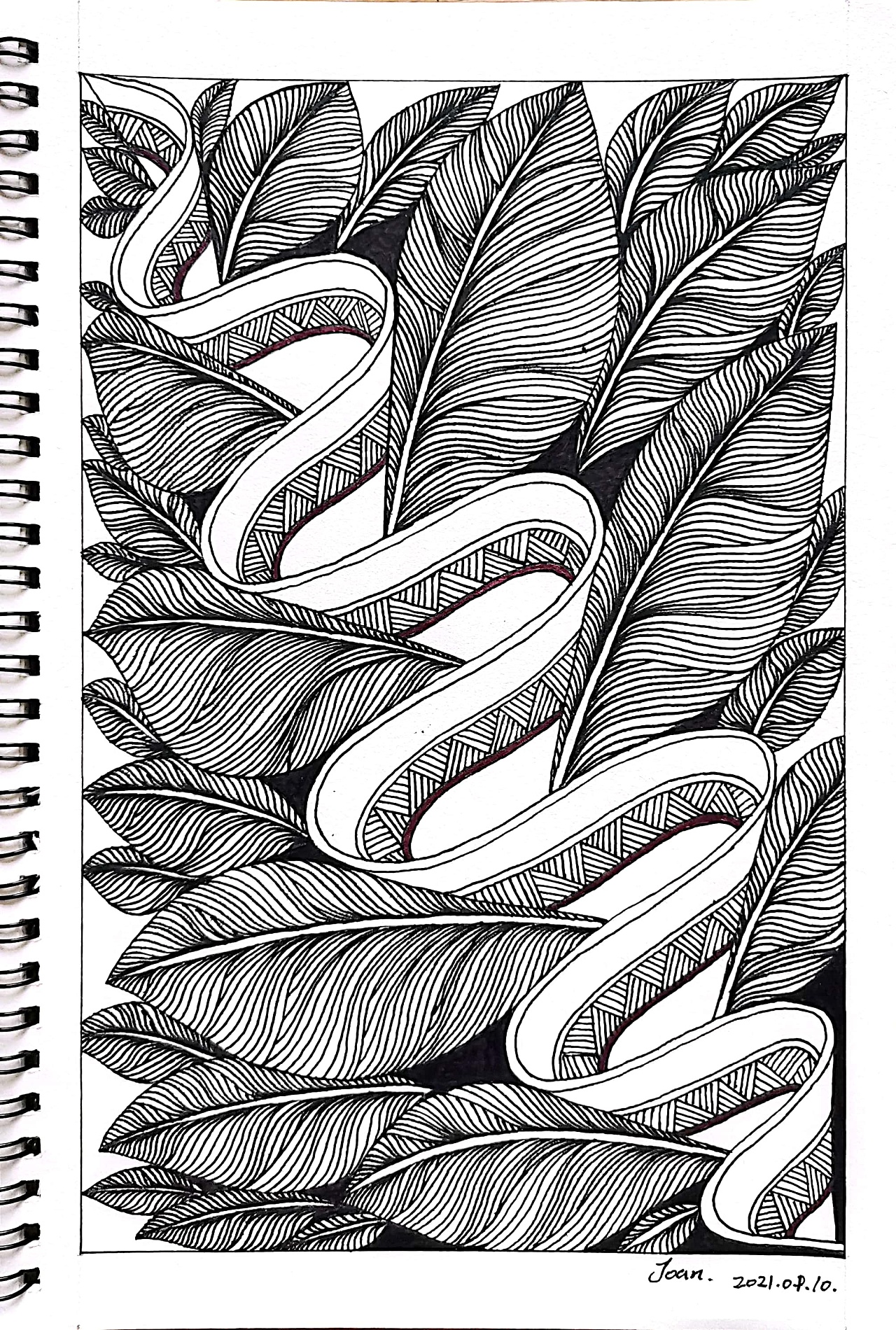 控笔练习74|插画|创作习作|joan_design - 临摹作品 - 站酷 (zcool)