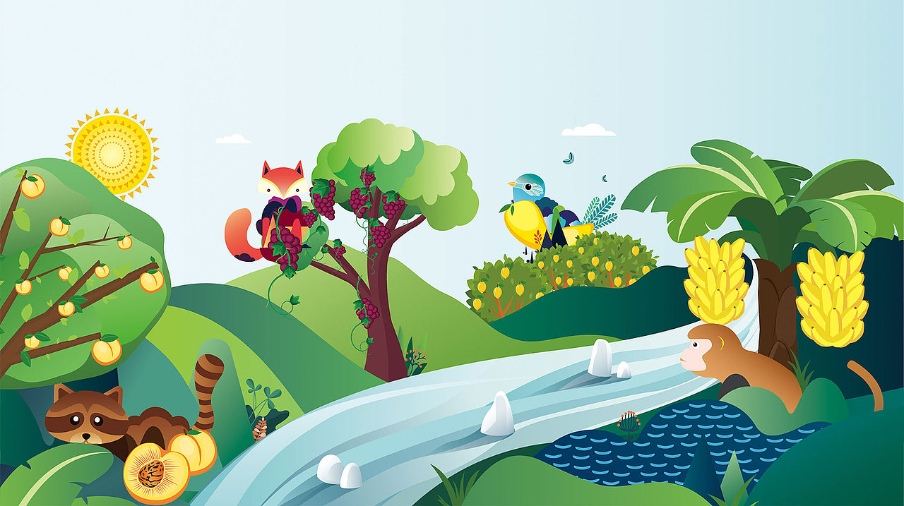  同道 & 鲜果漾 | 果干品牌LGO设计、果干包装设计