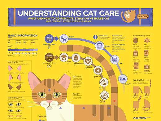 2018_06_如何照顾猫咪_Understanding Cat Care