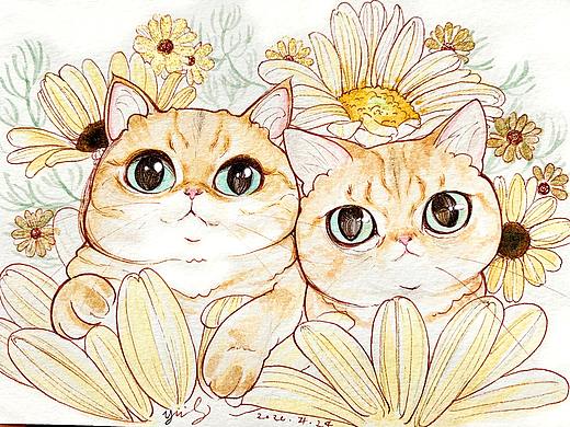 【插画】【水彩】”画个猫给你“作品合集
