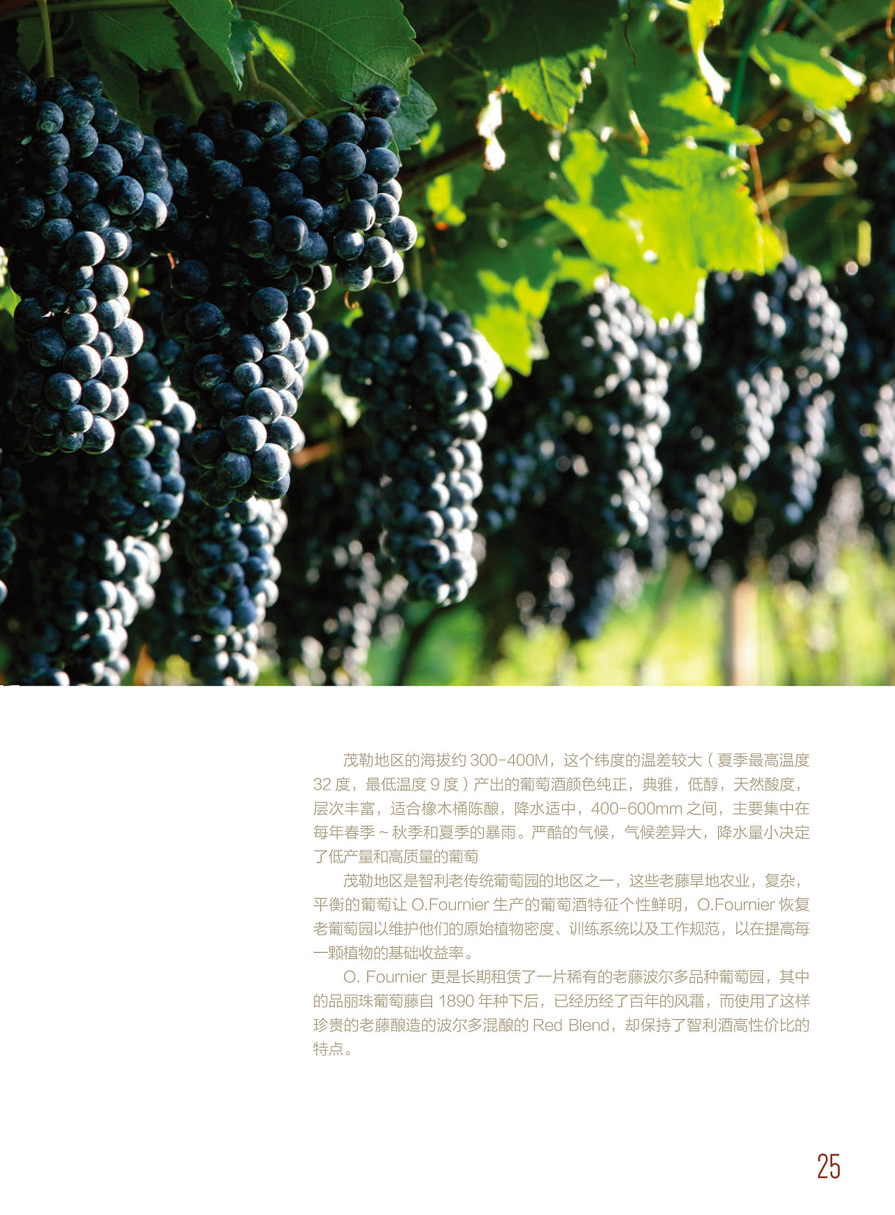 La Cava De Laoma智利葡萄酒册（图ZMjUwOTI1NzM2） - 书籍/画册 - 站酷设计师王斌蒂山原创素材 - 站酷ZCOOL