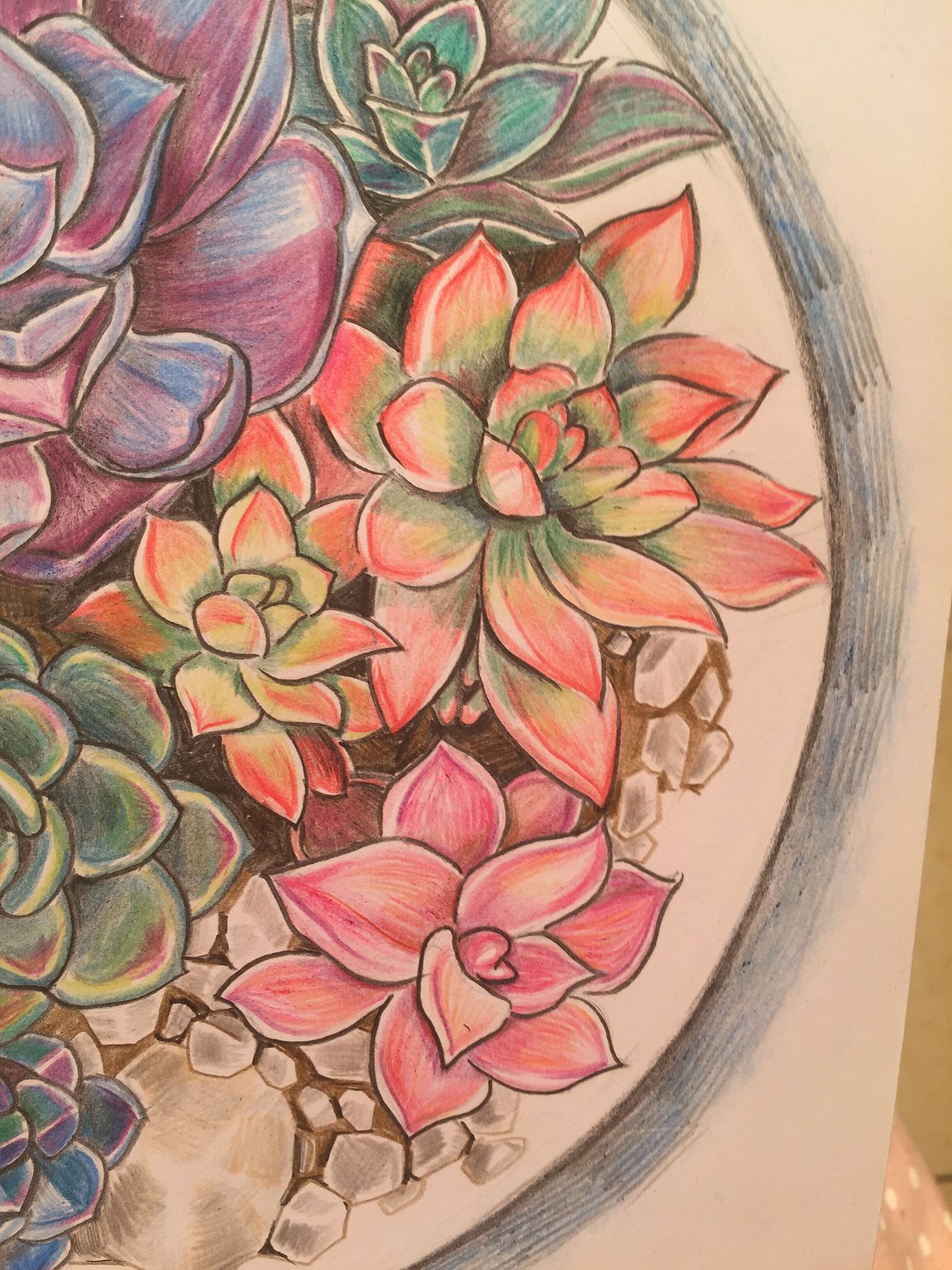 多肉（图ZNDk4ODcxMjA=） - 绘画 - 站酷设计师dora920原创素材 - 站酷ZCOOL