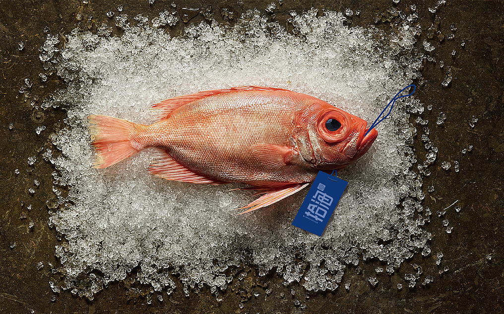 《拾海》鱼罐头