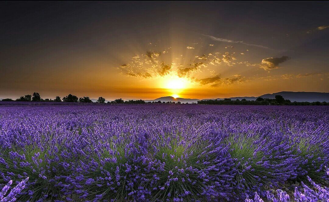 你们不觉得当一天你们喜欢上了一个地方你会一直想去吗