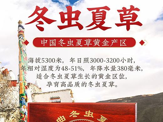 冬虫夏草详情页面