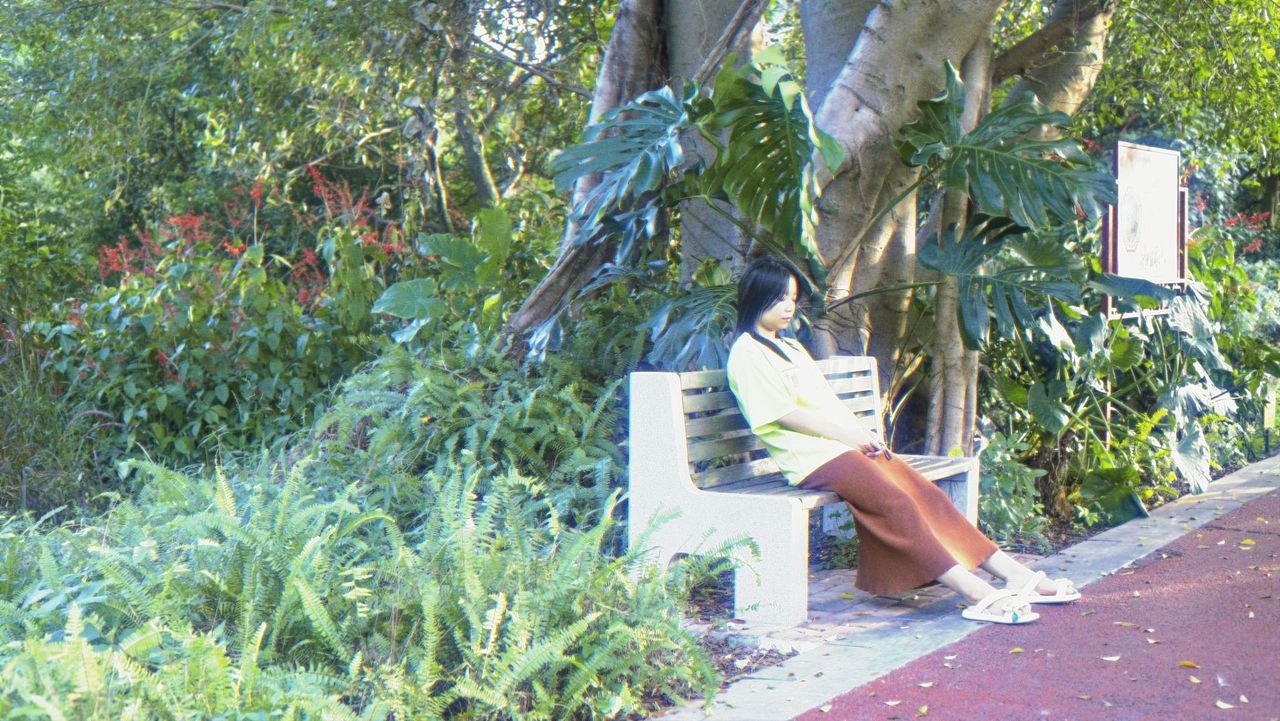 散心☆做了阶段性的决定,