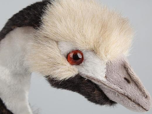 一组动物的眼睛，瞳孔的颜色，你能猜出来它们是谁吗？