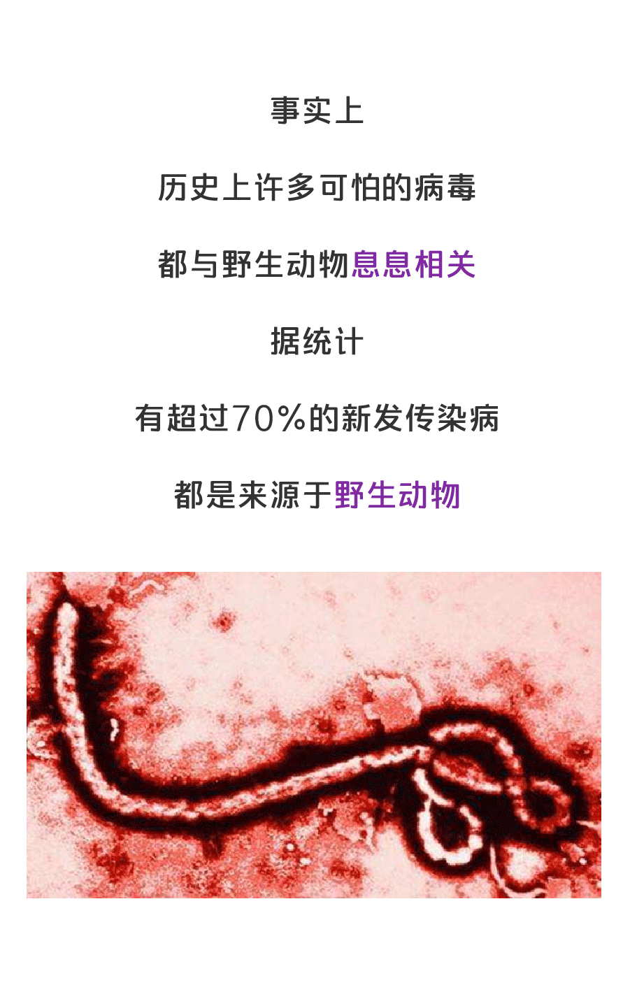 疫情之后，人类能不能拒绝吃野味？（图ZMTk1Mjc4MzU2） - 中/长篇漫画 - 站酷设计师缸灿食话原创素材 - 站酷ZCOOL