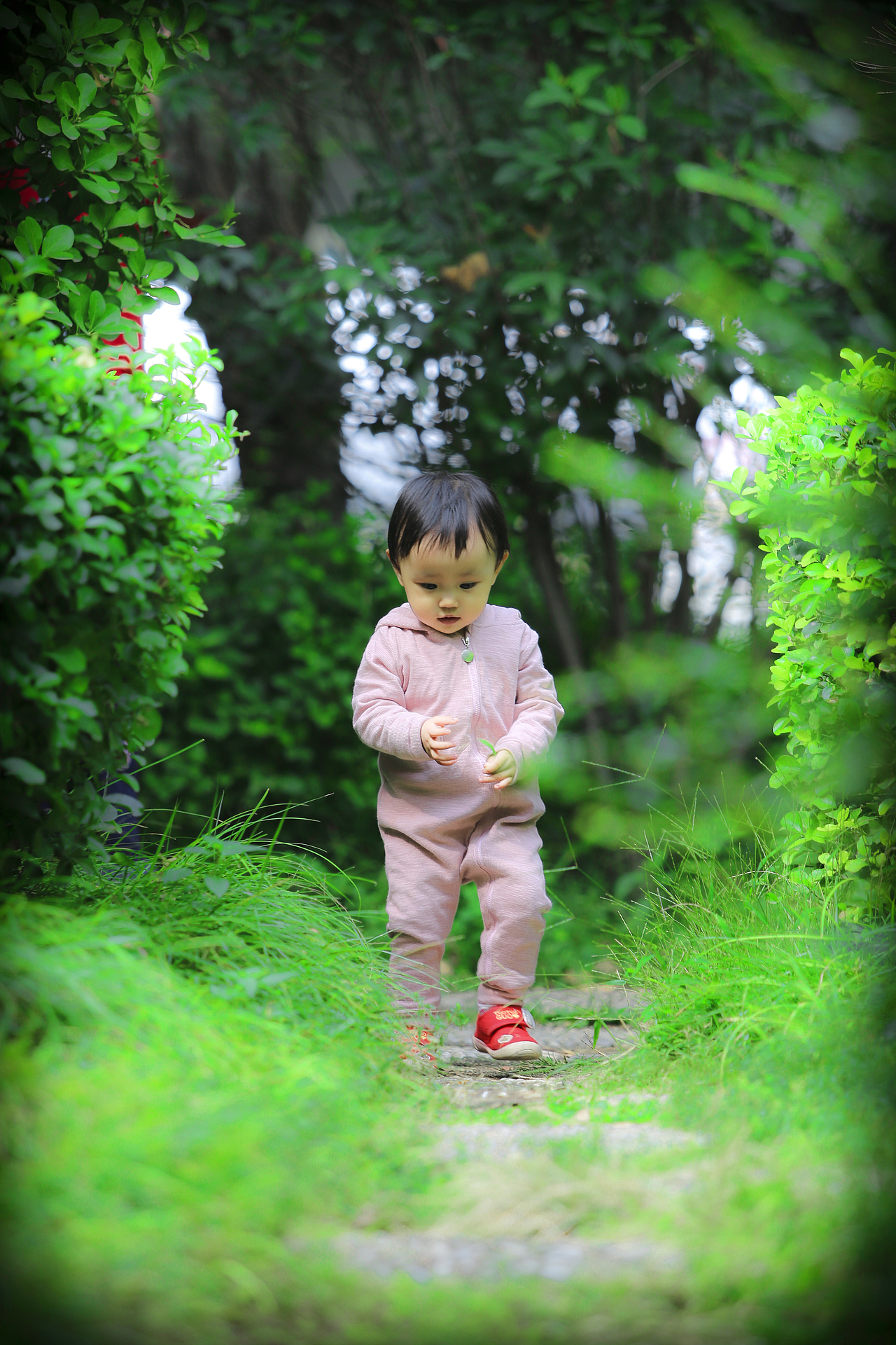 时间都去哪了—— 一岁五个月 《丛林的小兔子》