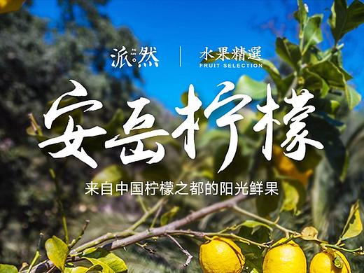 安岳檸檬詳情頁設(shè)計（個人主頁-ZNDMwMTQ0ODg=） - 電商 - 站酷設(shè)計師丼小邪丶原創(chuàng)素材 - 站酷ZCOOL