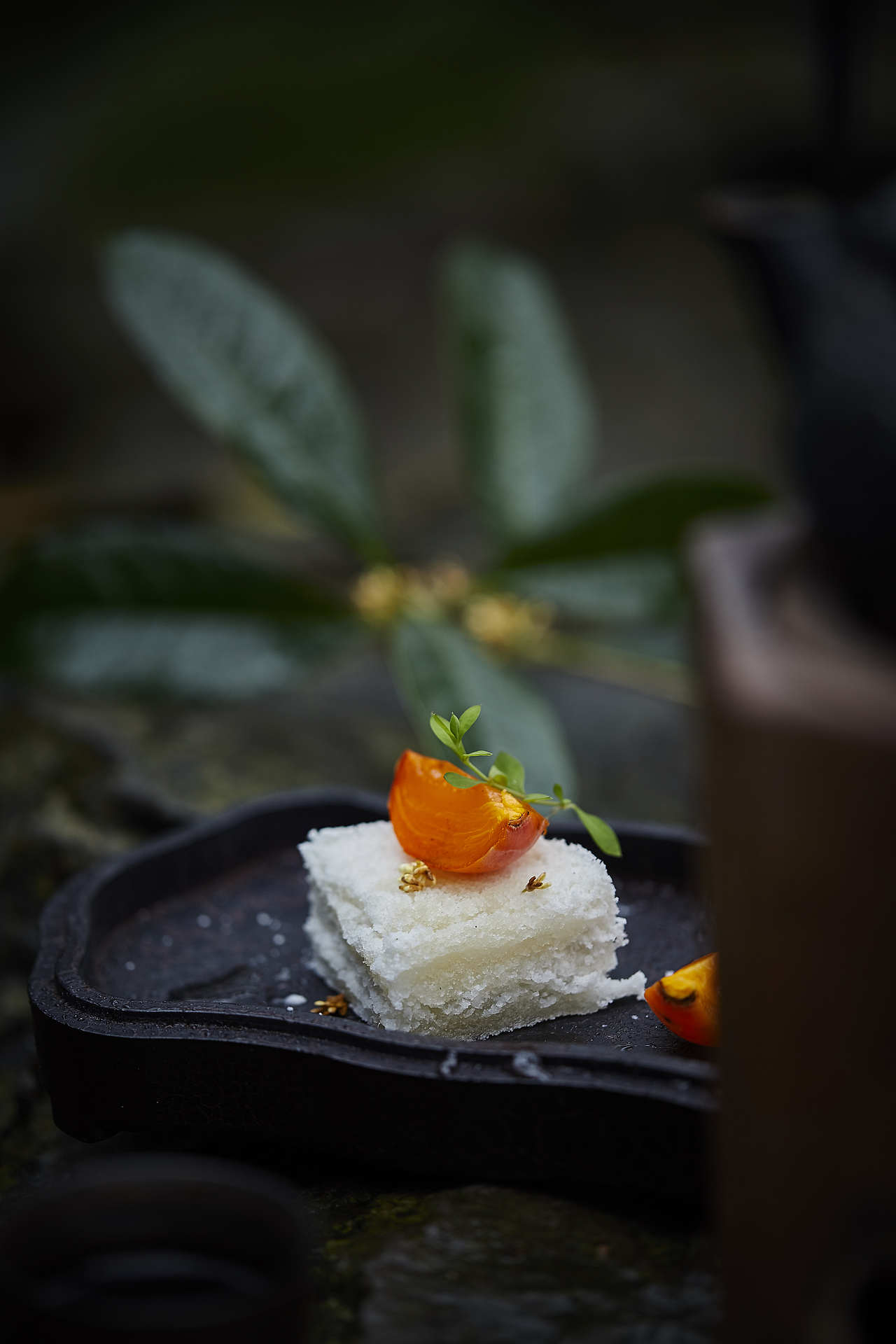 四季食花｜桂。广寒糕