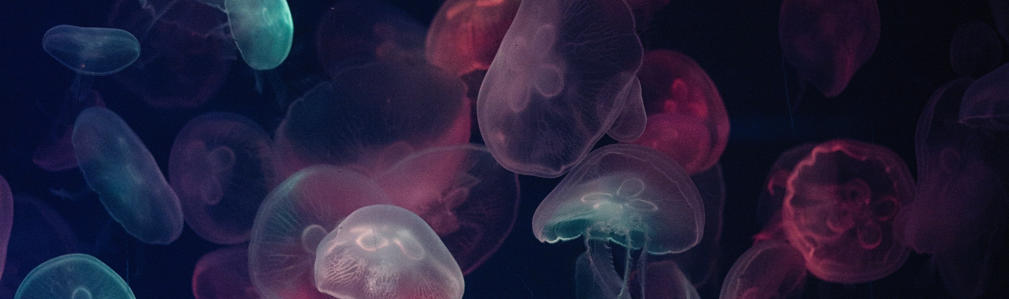 鯨魚先生__的個(gè)人主頁（背景預(yù)覽） - 主頁背景設(shè)置 - 站酷設(shè)計(jì)師鯨魚先生__原創(chuàng)素材 - 站酷ZCOOL