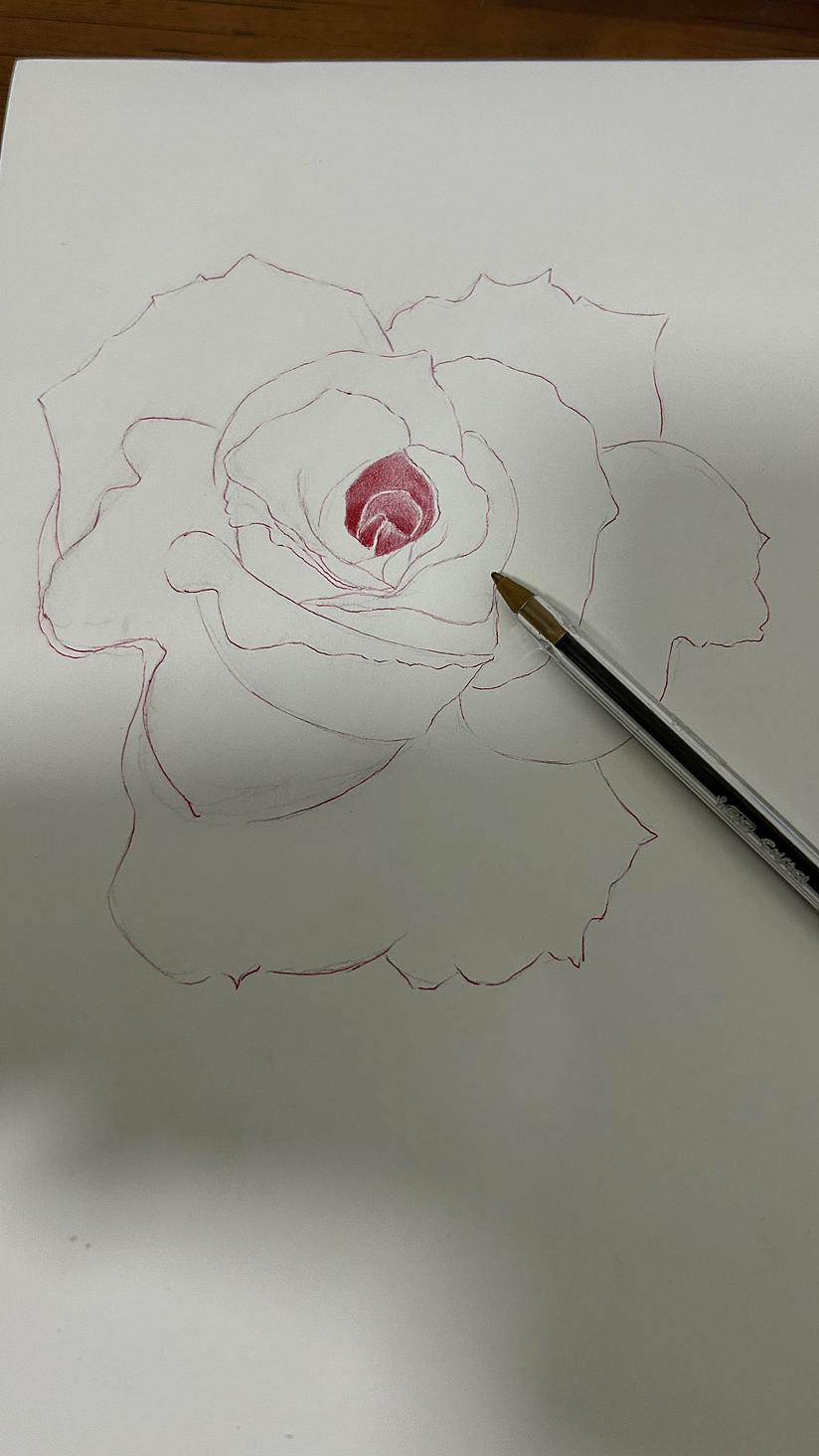 圆珠笔临摹玫瑰花