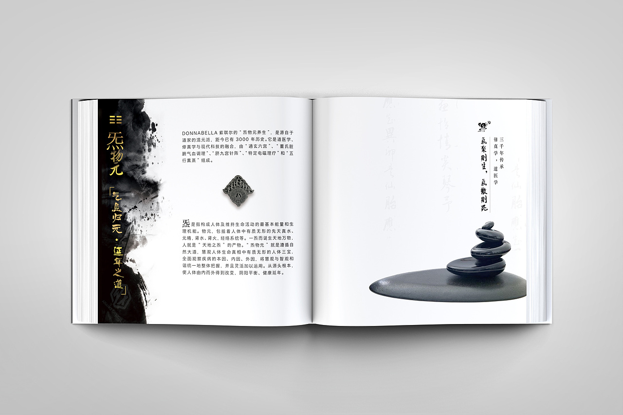 炁物元养生画册