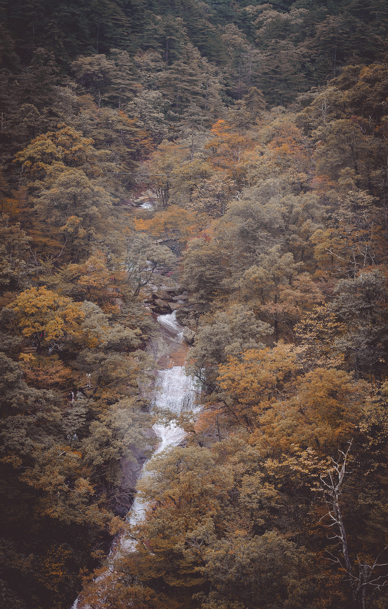 天堂之路~悠哉~悠哉