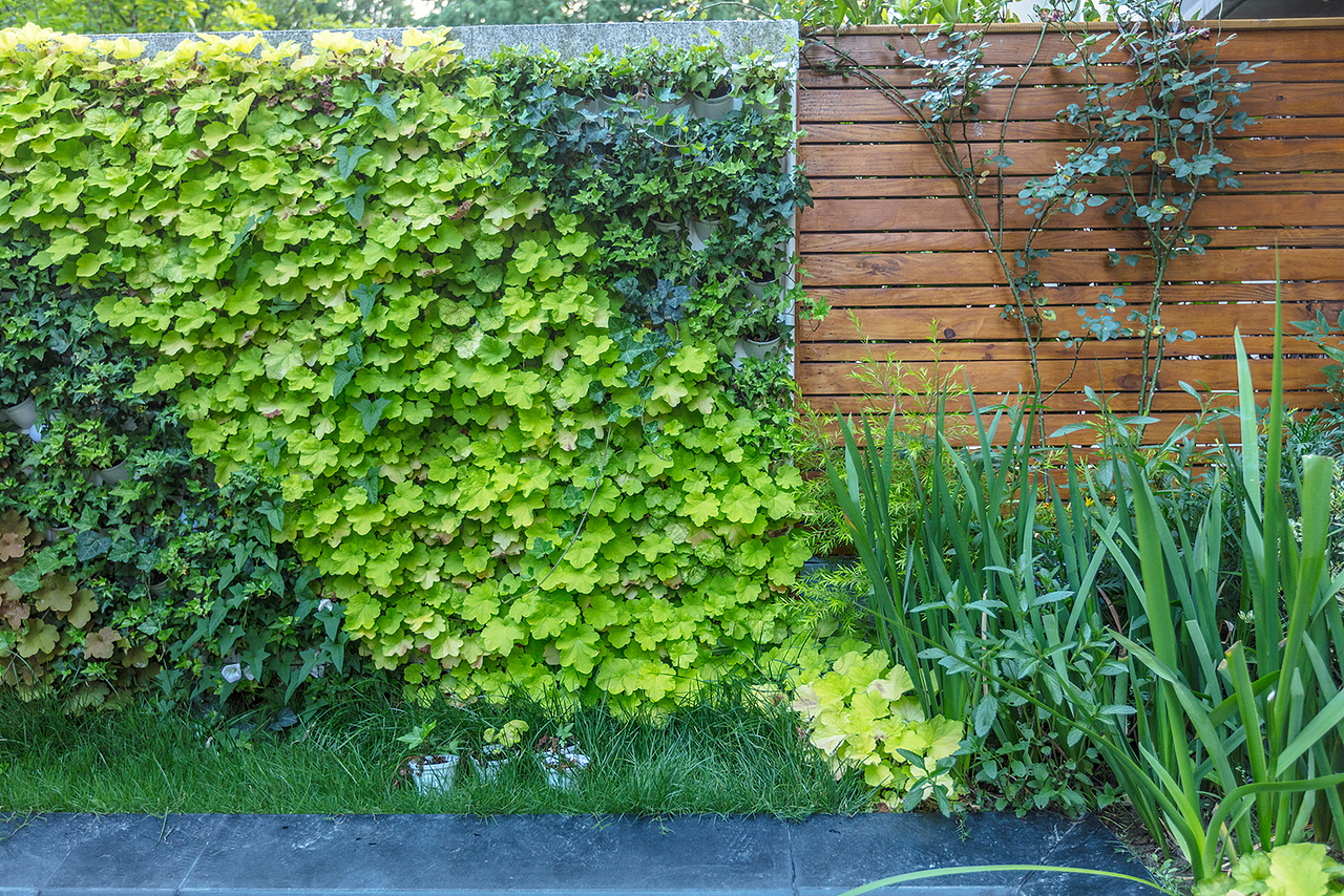 花园设计 庭院设计 花园施工落地