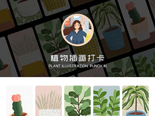 植物小插画