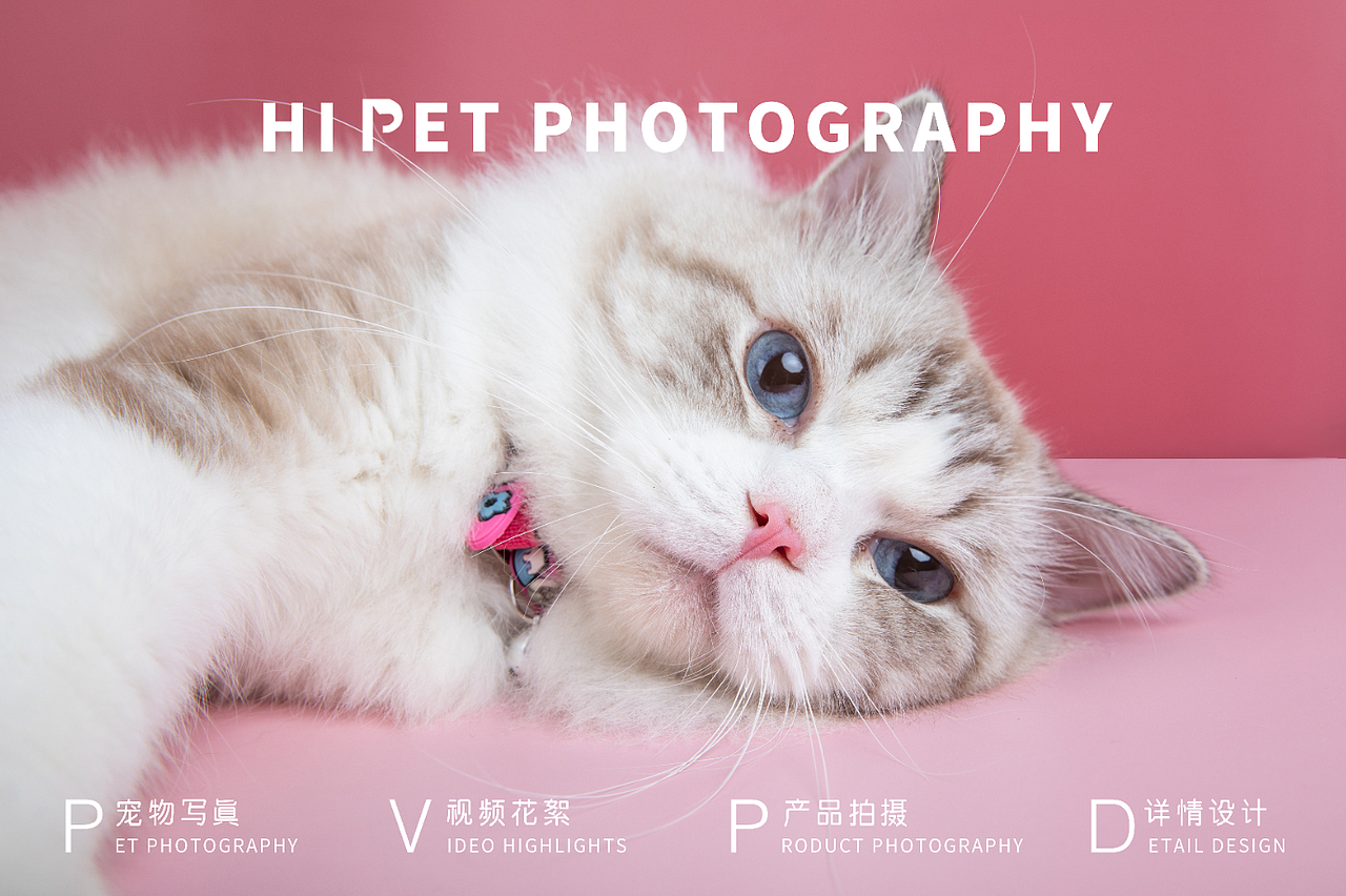 宠物用品摄影宠物产品用品拍摄（图ZMjMxNTkwOTA4） - 产品摄影 - 站酷设计师宠物摄影Hipet原创素材 - 站酷ZCOOL