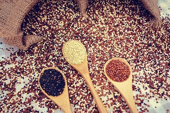 青藏青藜 - 藜麦