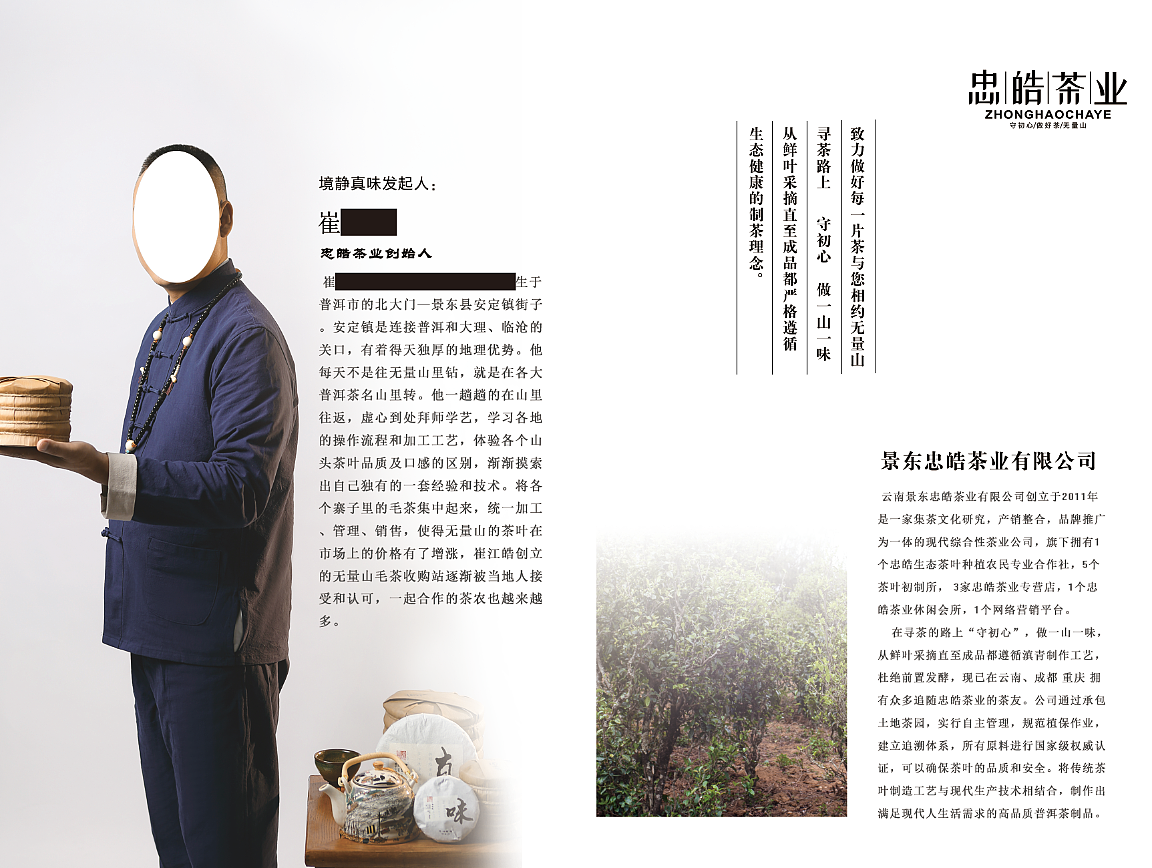 普洱茶宣传册部分设计