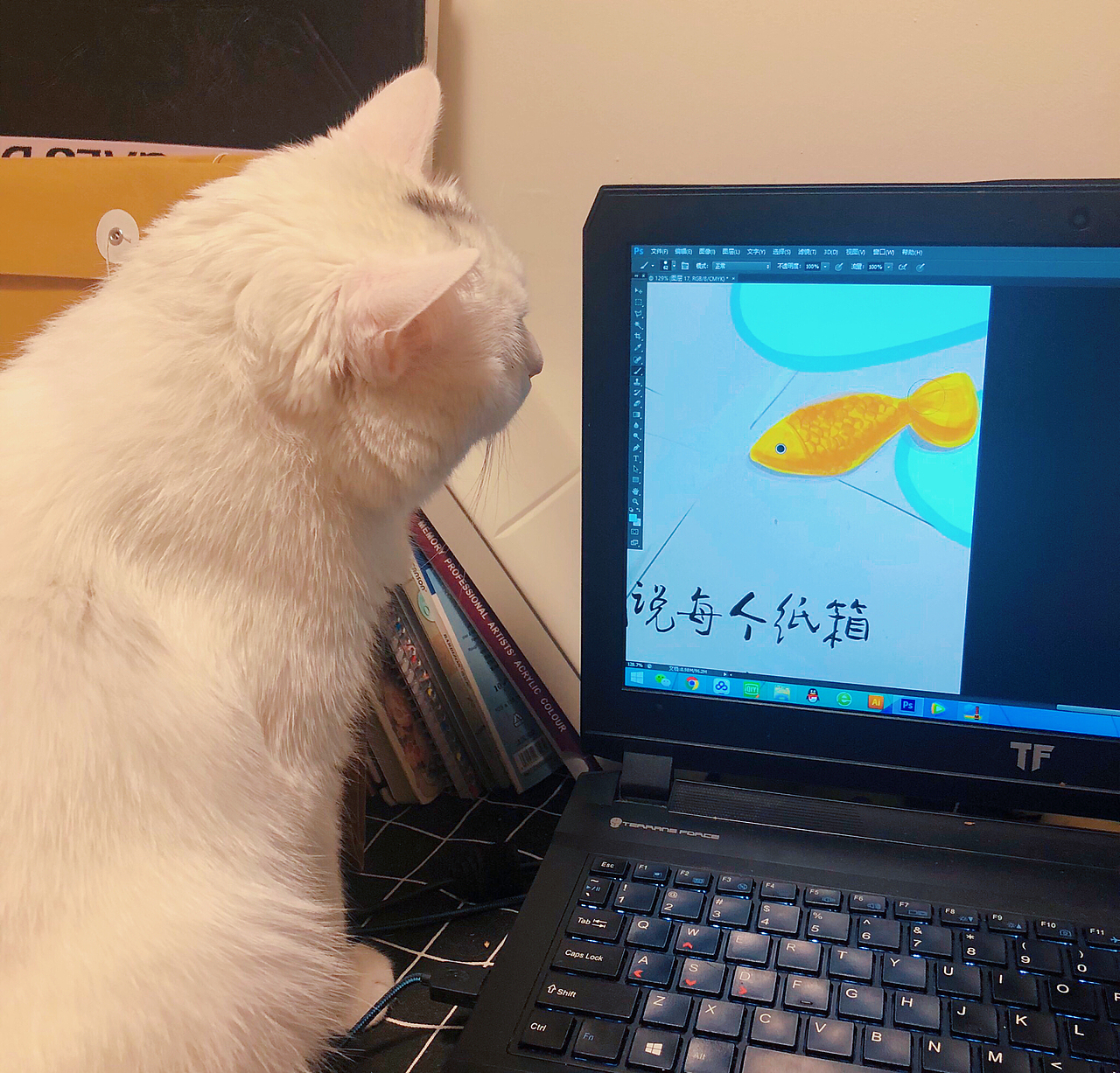 我家猫咪与快递箱（图ZMTMwODA1MTM2） - 创作习作 - 站酷设计师周亚宁原创素材 - 站酷ZCOOL