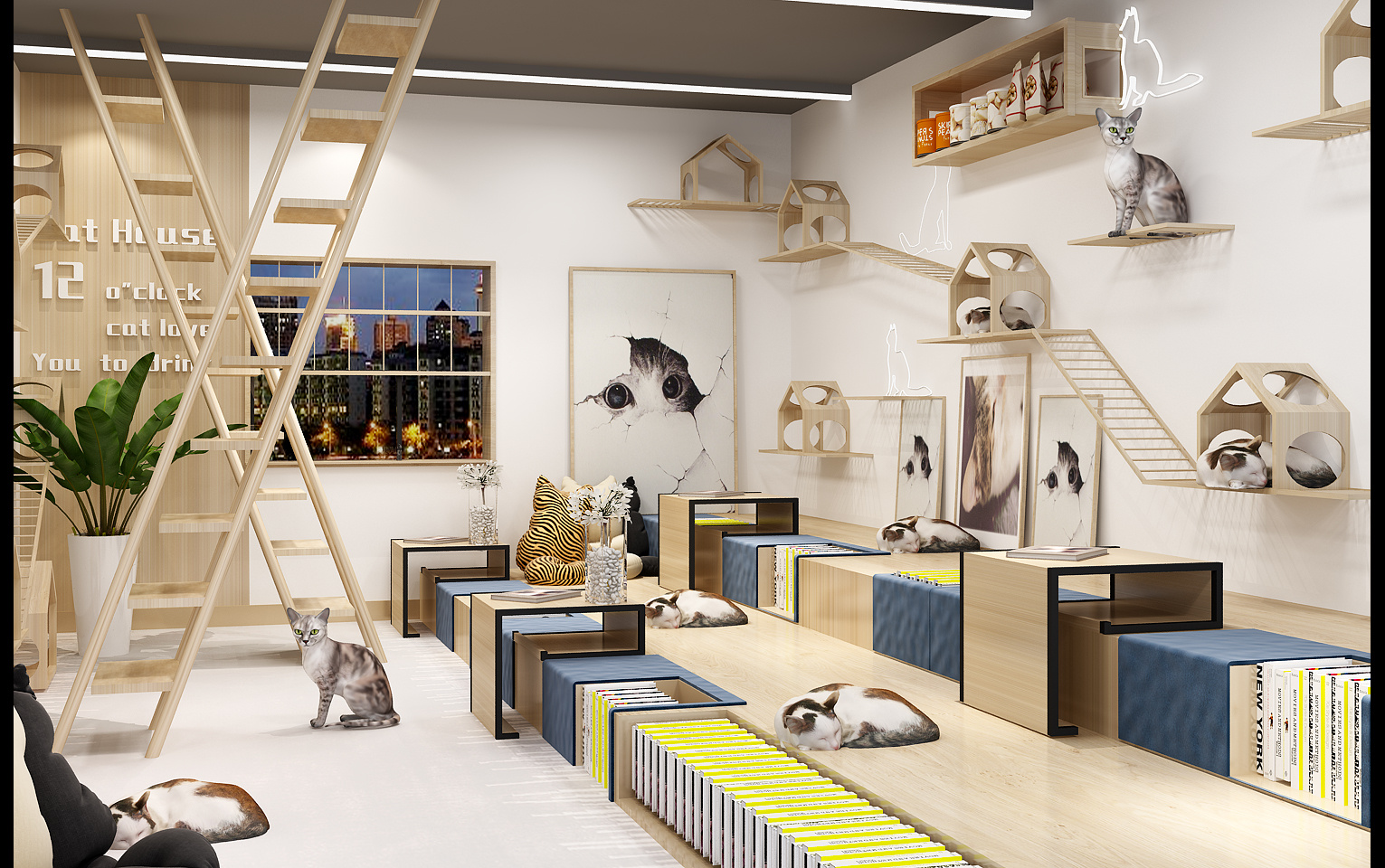 撸猫小铺|空间|室内设计|人比黄花茶微凉 - 原创作品 - 站酷 (zcool)