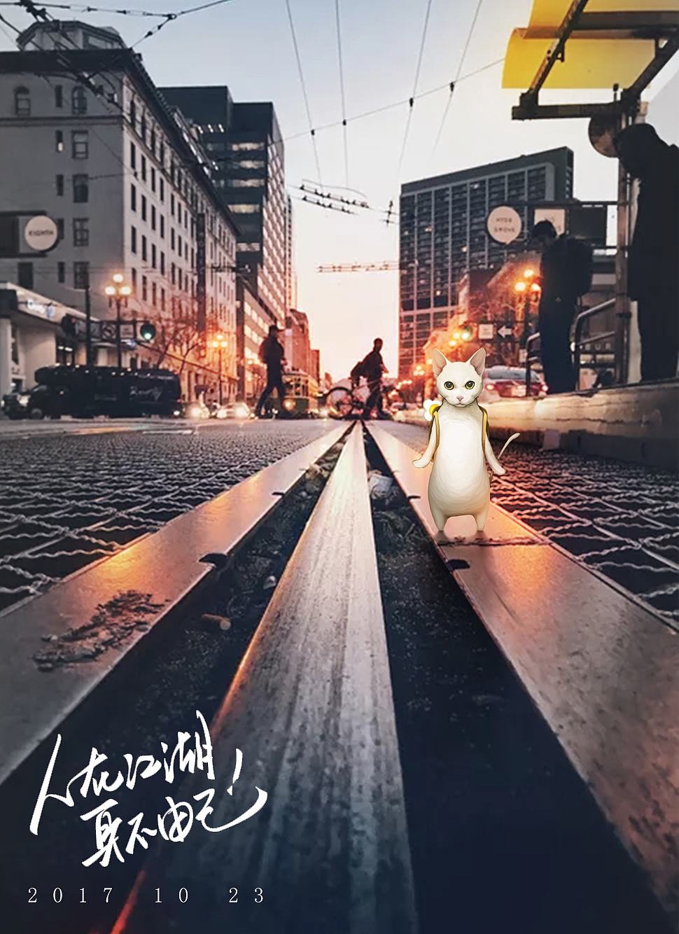 《2017——屋里五只猫》（图ZMTQyOTI4NjU2） - 创作习作 - 站酷设计师尘微丶熏神染骨原创素材 - 站酷ZCOOL