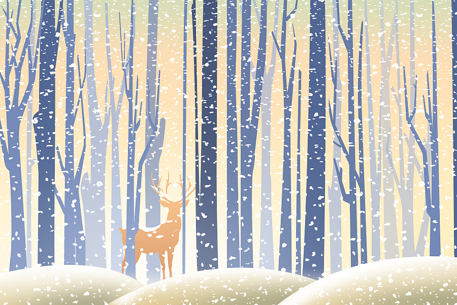 生活中做自己喜欢的设计