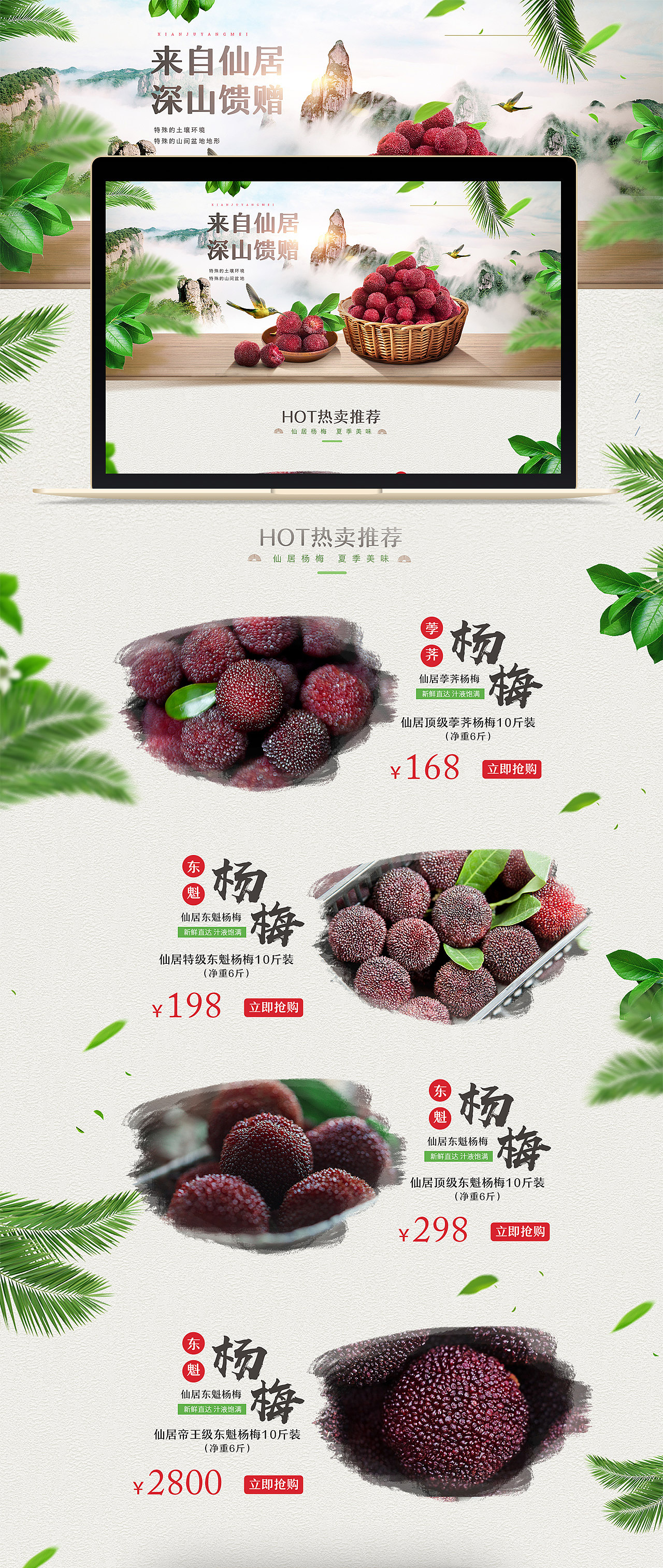 仙居杨梅水果专题 DESIGN（图ZMTExNTkyNDgw） - 电商 - 站酷设计师ZEVeNe原创素材 - 站酷ZCOOL