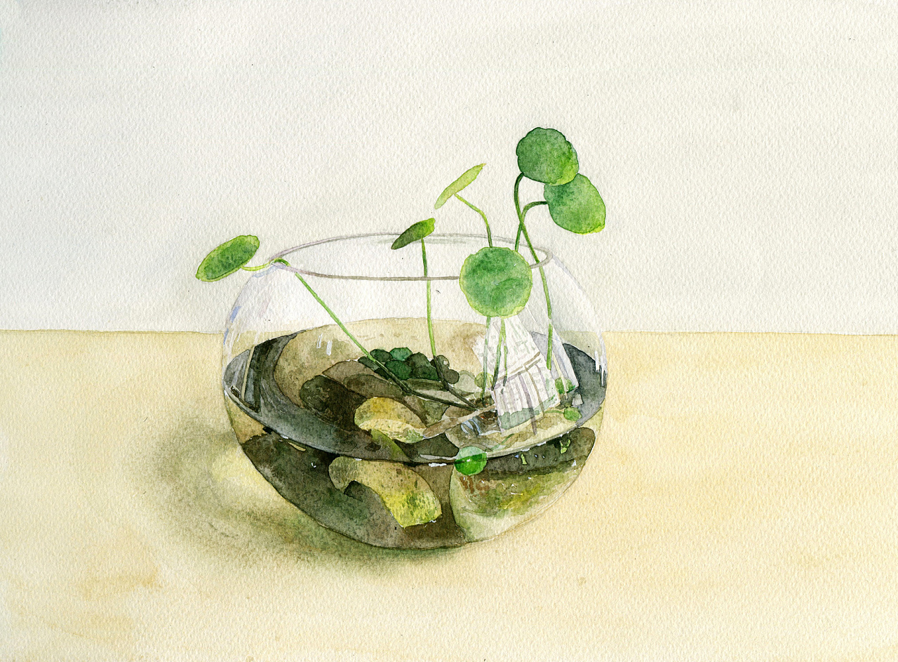 水彩|插画|商业插画|u糖utang - 原创作品 - 站酷 (zcool)