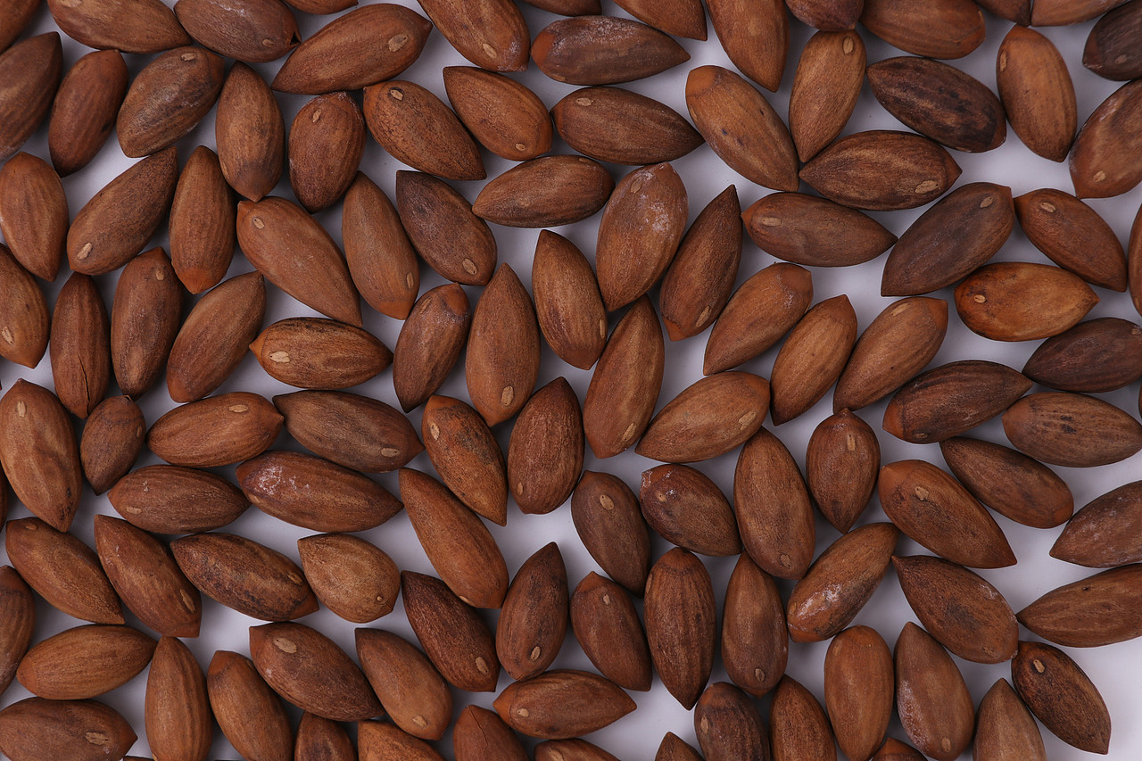 B08零食\C07-坚果炒货\V12香榧子X1-QM