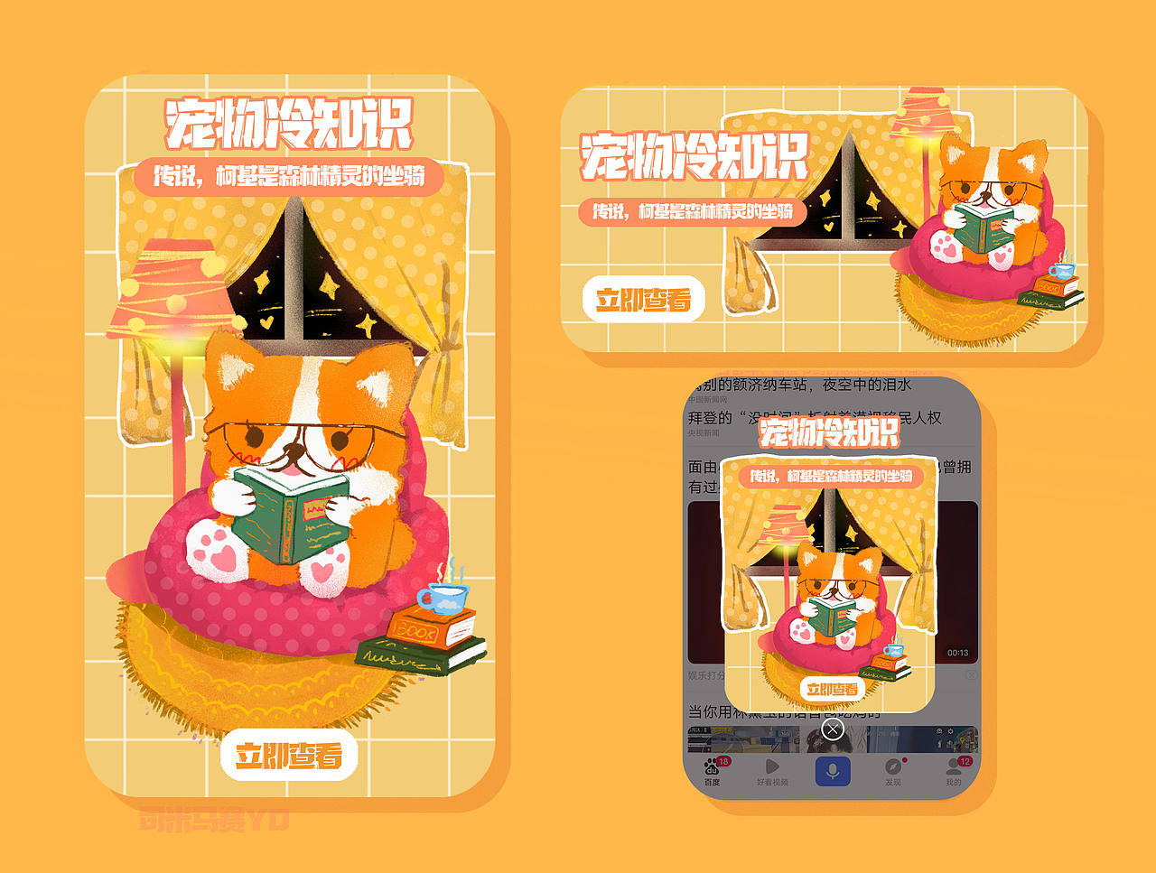 宠物冷知识 banner 弹窗 开屏设计（图ZMjc2NjE0MDg0） - 商业插画 - 站酷设计师司米马赛yo原创素材 - 站酷ZCOOL