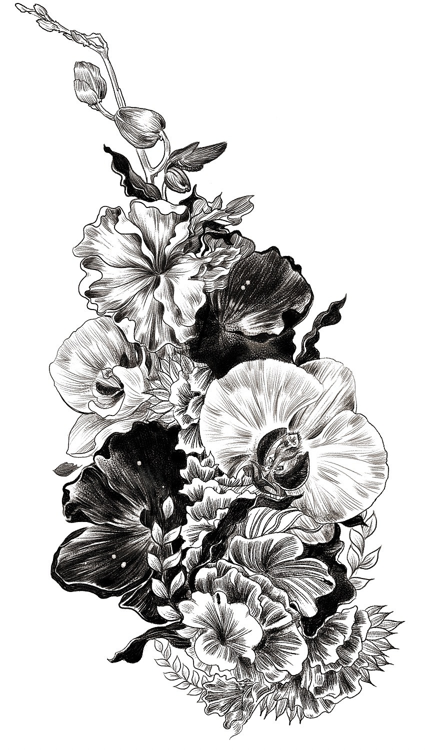 贵州省茅台镇闲品酒业公司-白酒包装设计（图ZMzYzNTEwNjEy） - 包装 - 站酷设计师班尼設計工作室原创素材 - 站酷ZCOOL