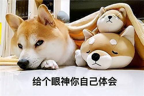 一款八宝茶详情页（图ZMTQ2NTk0MjEy） - 电商 - 站酷设计师橙小樱原创素材 - 站酷ZCOOL