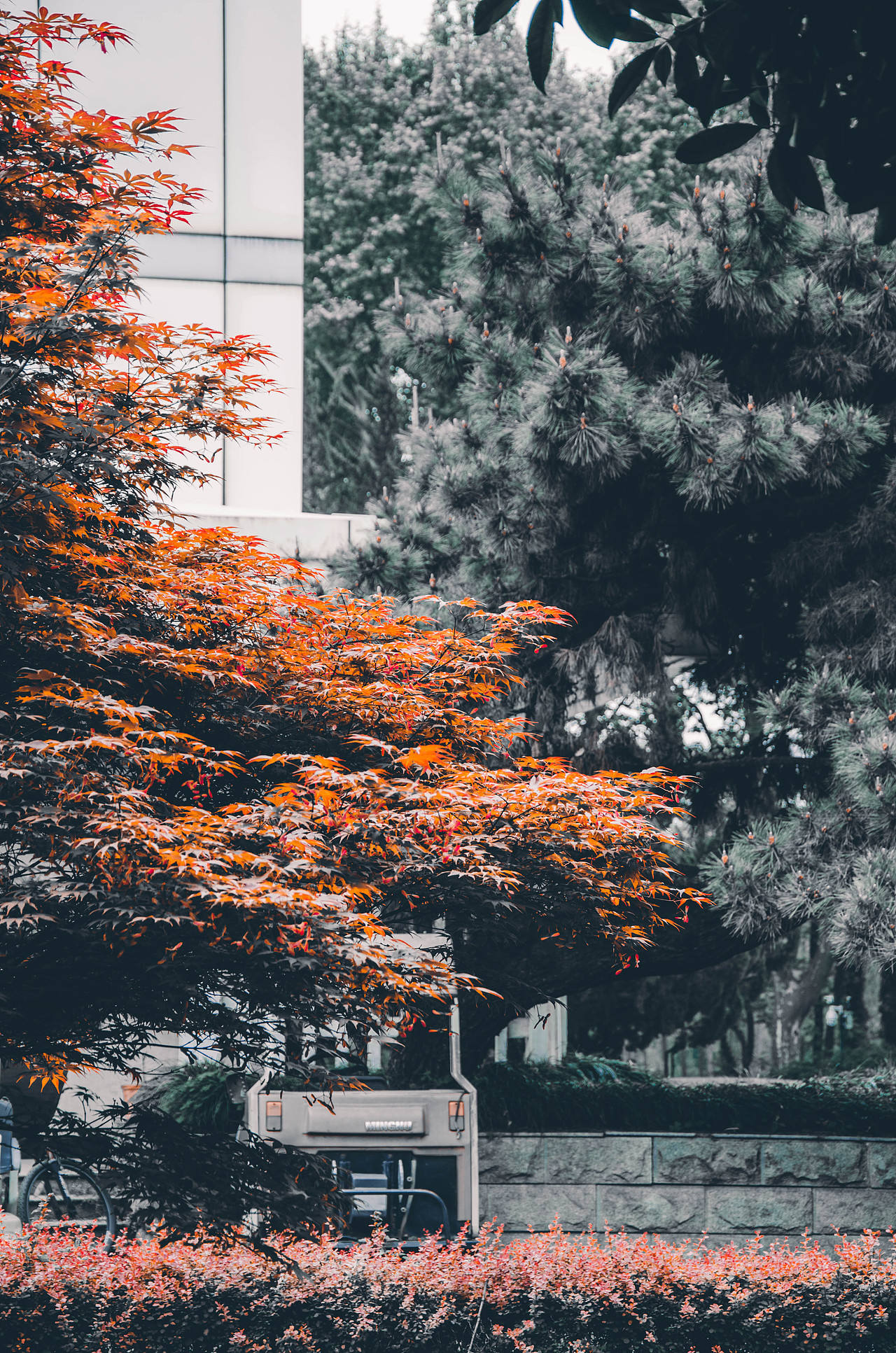 春天到夏天 不曾断过（图ZMjU0MTI1MTk2） - 人文/纪实摄影 - 站酷设计师Z39085363原创素材 - 站酷ZCOOL