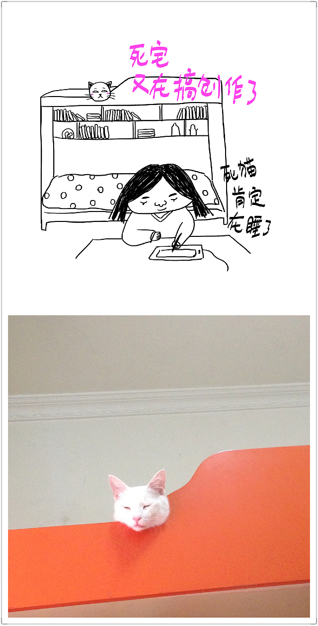 漫画 儿插 我的大猫