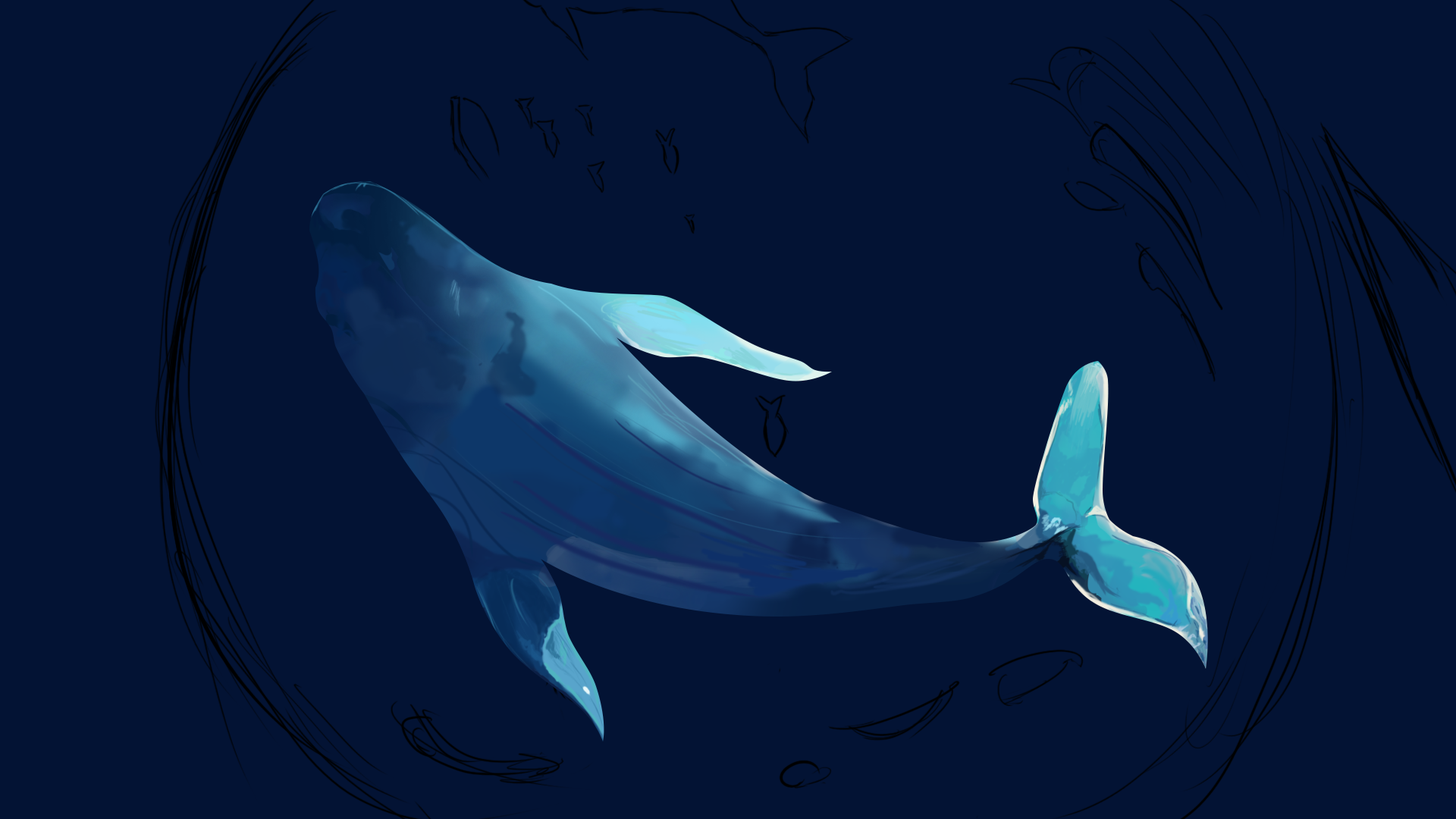 教你鲸鱼的画法，简单又有趣！
