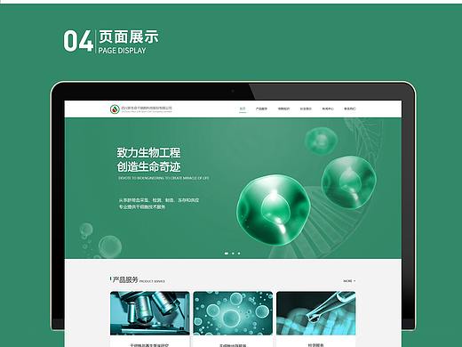 新生命干细胞企业网站提案