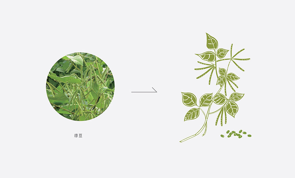 大和恒品牌产品包装设计