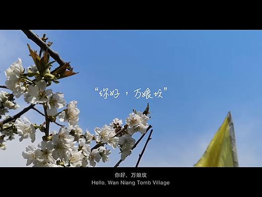 万娘坟村更新计划纪录片——设计的“诞生”